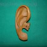 Prostho-Surg2-2-150x150